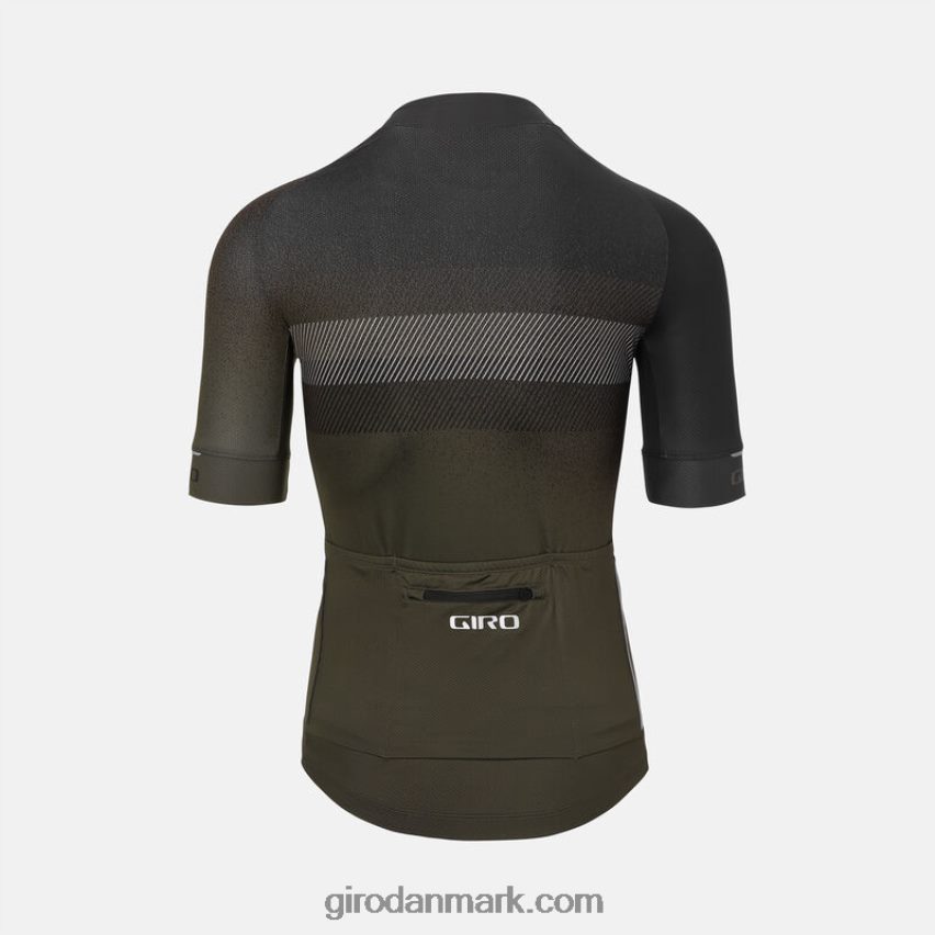 X4ZD8J712 Giro Mænd chrono ekspert trøje stigrøn blender